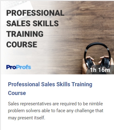 Professional Sales Skills Training