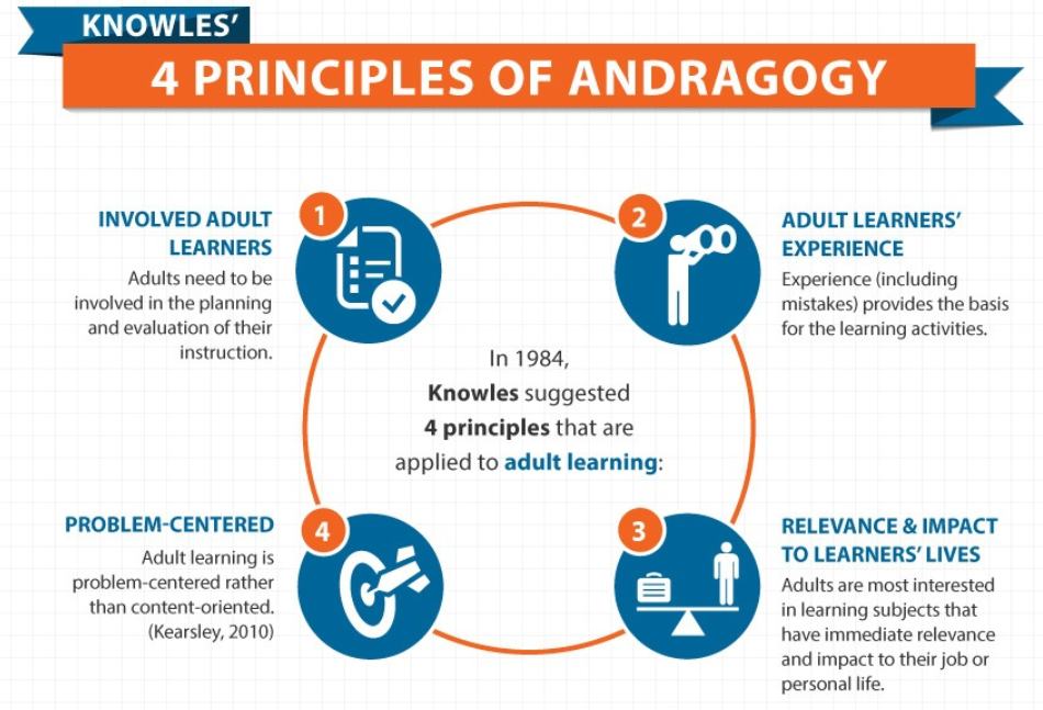 Principles of Andragogy Theory