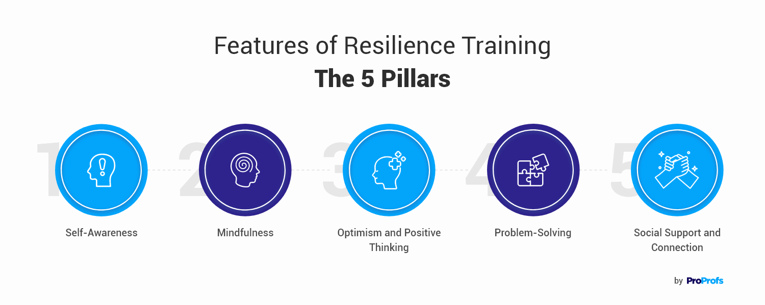 Features of Resilience Training The 5 Pillars