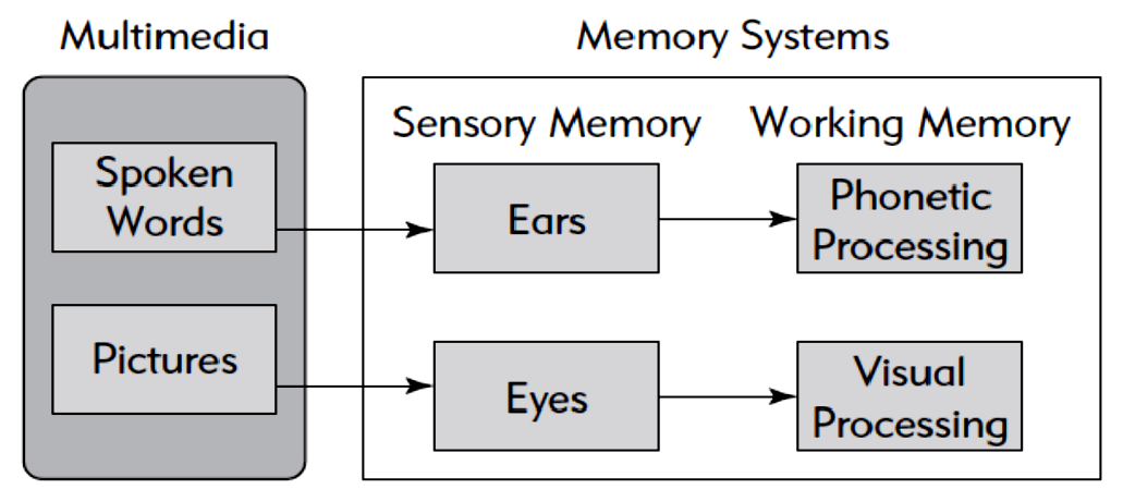 Modality Principle