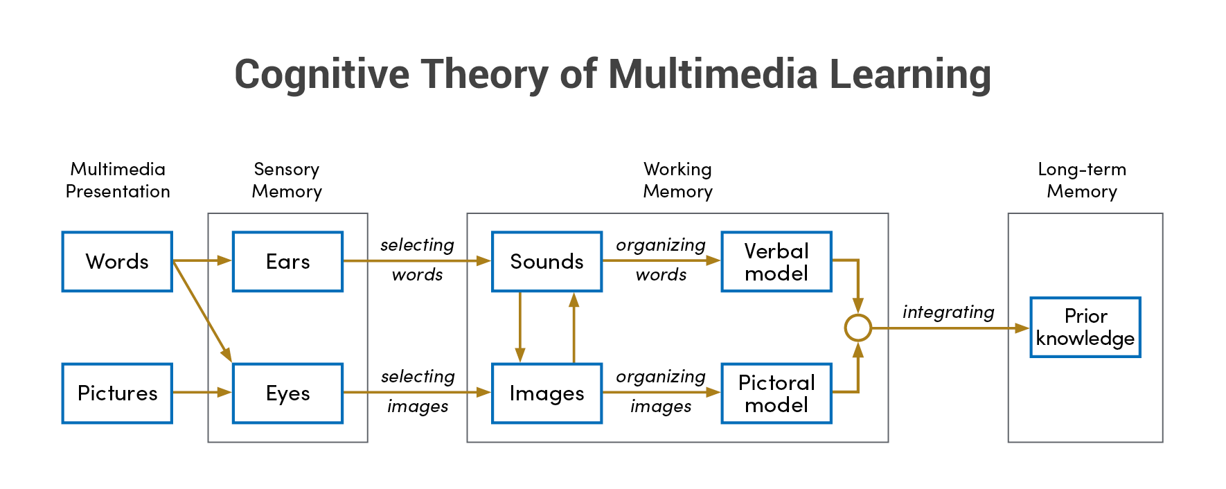 Multimedia Principle