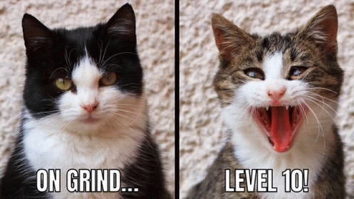 LMS Gamification Points Level Up