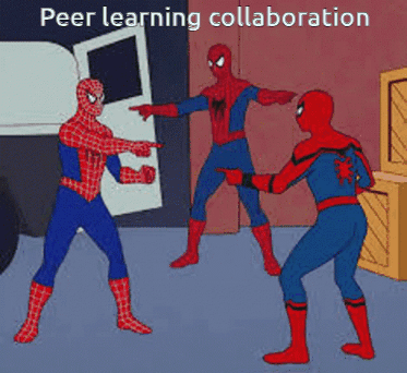 Social Learning for Gamification in LMS