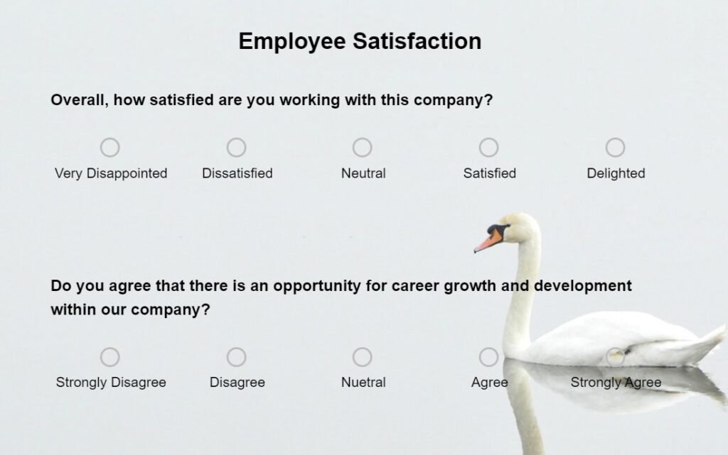 Employee surveys and interviews template